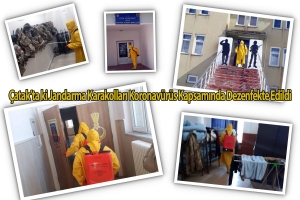 Çatak’ta ki Jandarma Karakolları Koronavürüs Kapsamında Dezenfekte Edildi